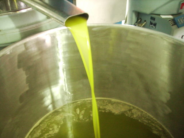 Olio extravergine di oliva    